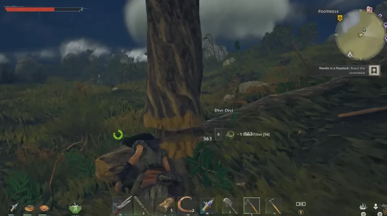 windrose divdiv-divdiv tree