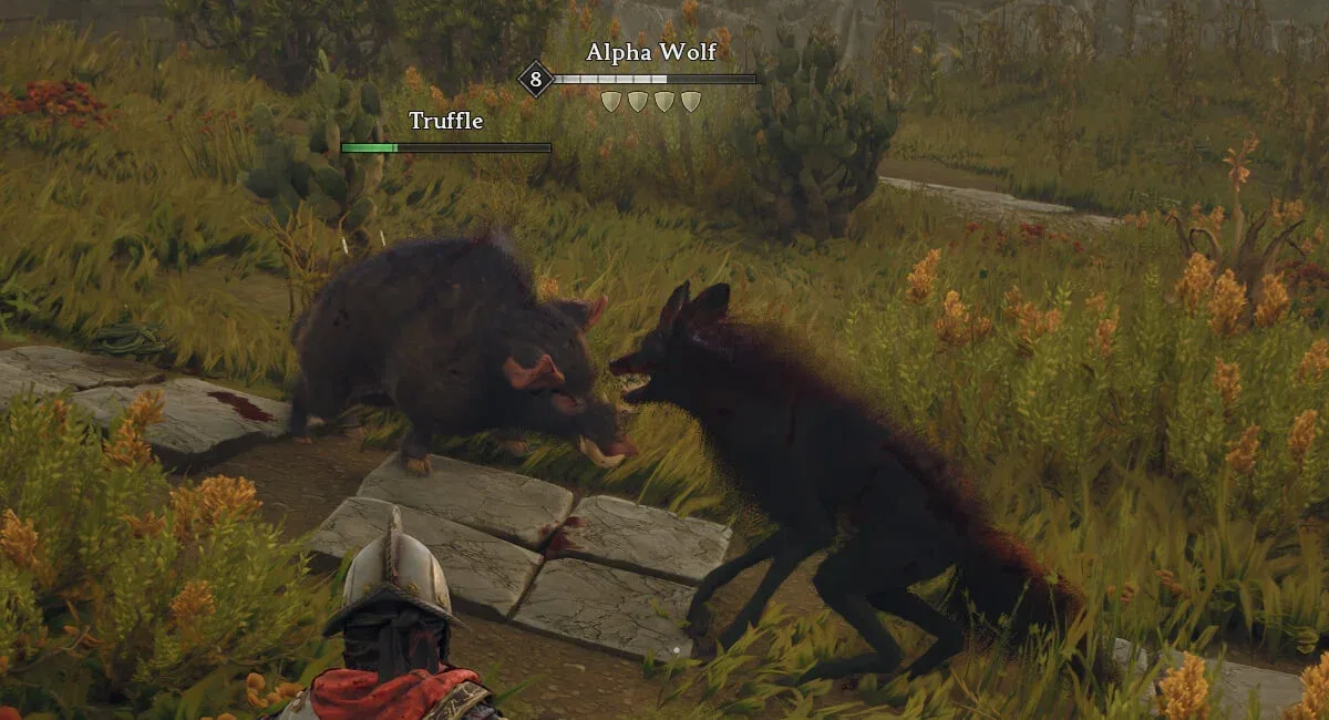 windrose-how-to-get-boar-whistle-crocodile-whistle-truffle-combat